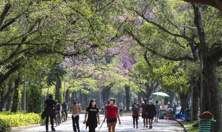 Mulheres relatam onda de agressões no Parque Ibirapuera, SP
