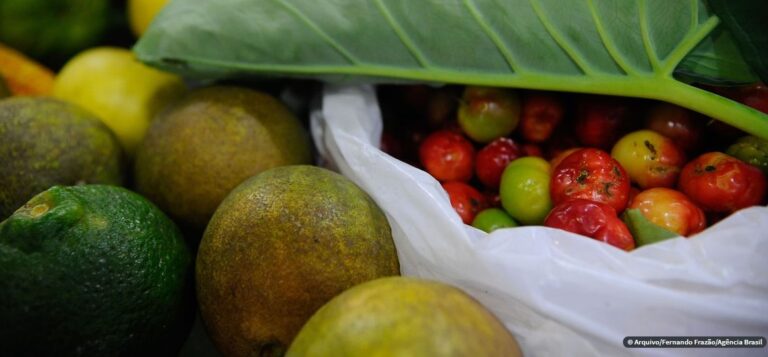 ONU: 931 milhões de toneladas de alimentos foram para o lixo em 2019