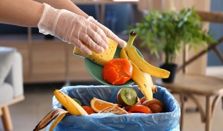 Desperdício global de alimento alcança 121 kg per capita; maior parte é em casa