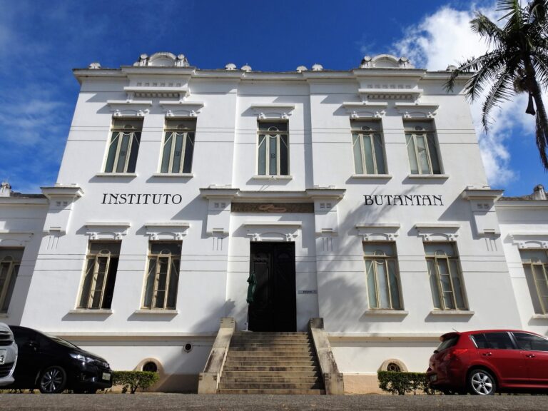 Butantan pede autorização à Anvisa para testar soro contra covid em humanos