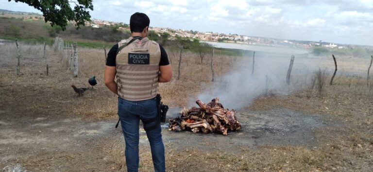 Fiscalização localiza abatedouro clandestino em Cedro de São João