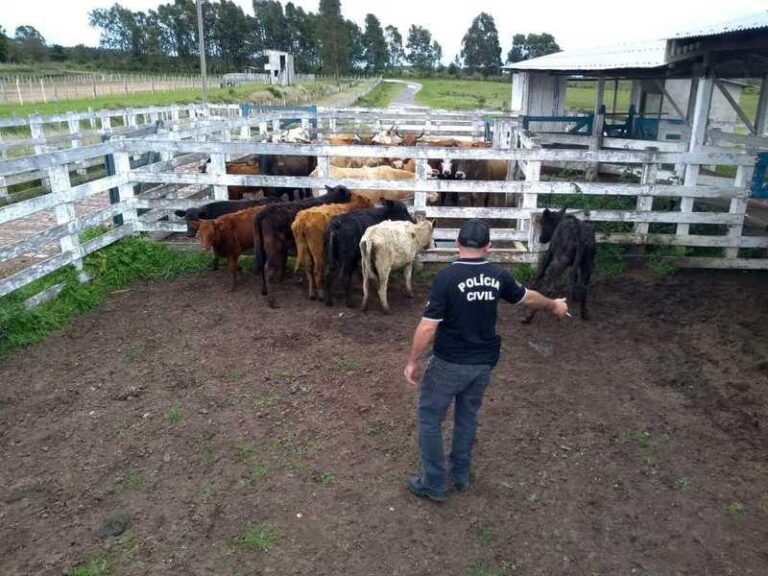 Delegacia especial contra roubo de gado é criada em Sergipe