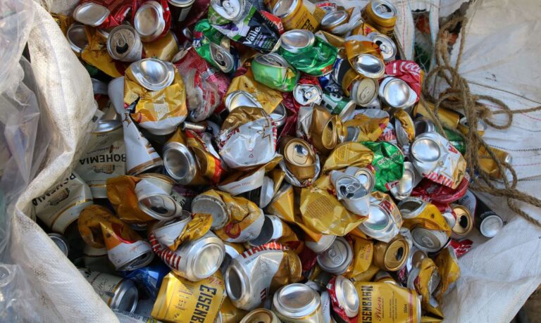 Mitos e verdades sobre a reciclagem: o que você precisa saber?