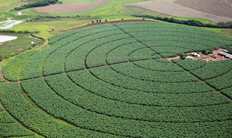 Agronegócio se torna cada vez mais atrativo e chama atenção de investidores sauditas