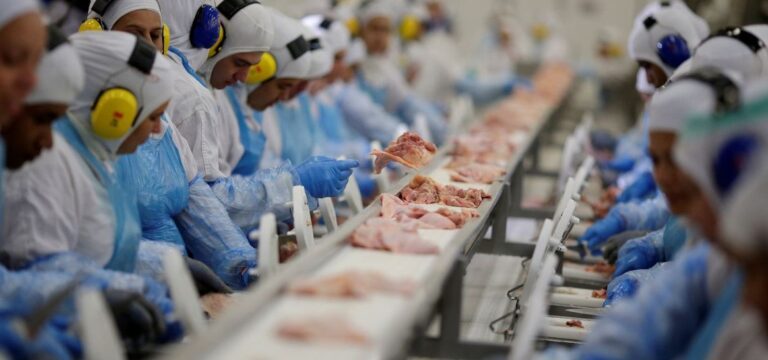 Arábia suspende compra de carne de ave de 11 frigoríficos do Brasil
