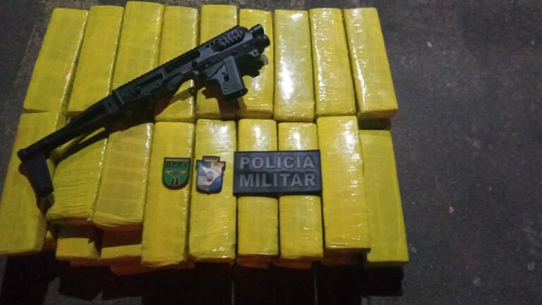 Polícia Militar apreende mais de 50 tabletes de maconha em Indiaroba