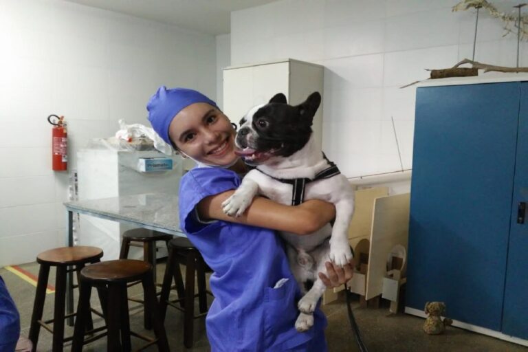 Você sabe qual é a relação entre violência contra animais e contra pessoas?