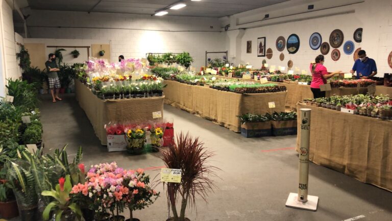 Feira de Flores de Holambra acontece no Center Ferreira Costa