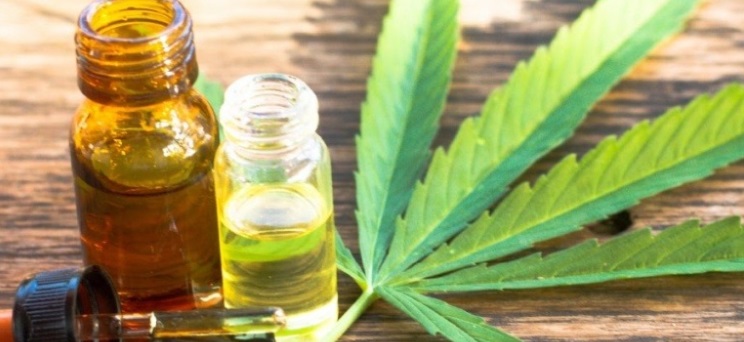 Aumento de procura por cannabis medicinal chama atenção para dificuldade de acesso no Brasil