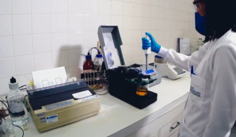 Com falta de investimento nacional, farmacêuticas estrangeiras lucram com remédios que saem da biodiversidade brasileira