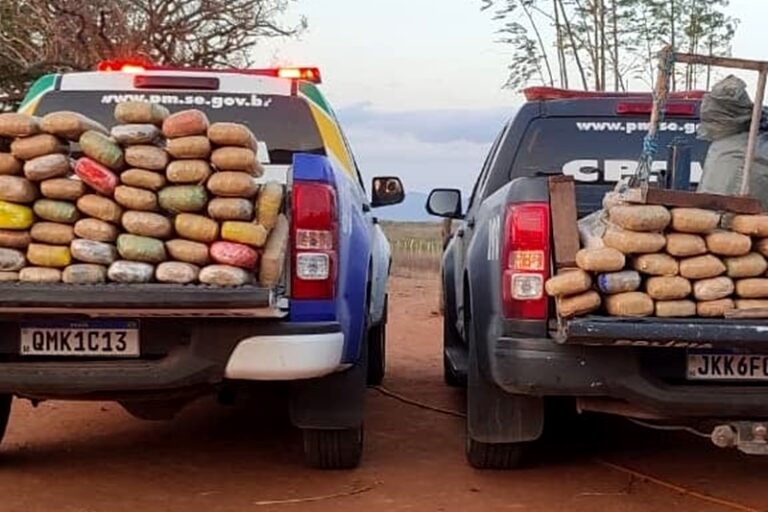 PM apreende mais de 140kg de maconha em propriedade rural do Alto Sertão