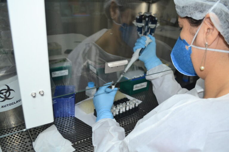 SES confirma dez óbitos por Influenza A H3N2