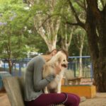 Setembro Amarelo: como o vínculo com os animais pode ajudar em momentos de sofrimento emocional