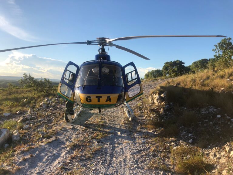 GTA resgata pessoas atacadas por abelhas na Serra da Miaba