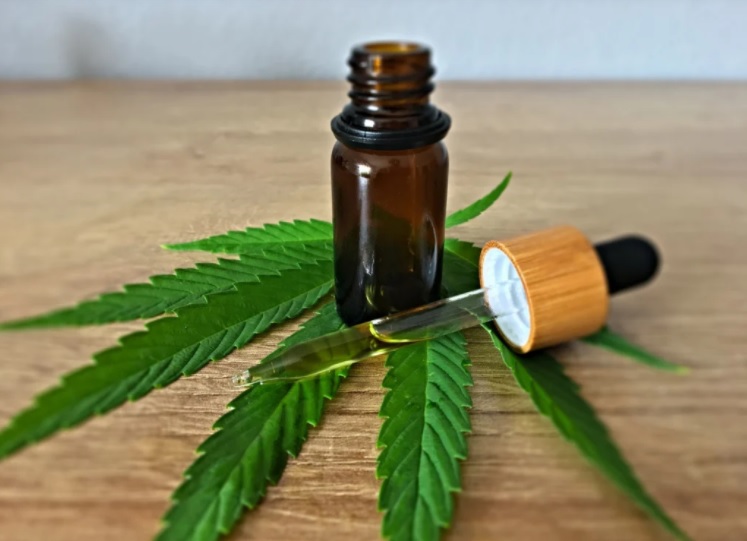 Deputados aprovam Lei que regulamenta cannabis medicinal nem Sergipe