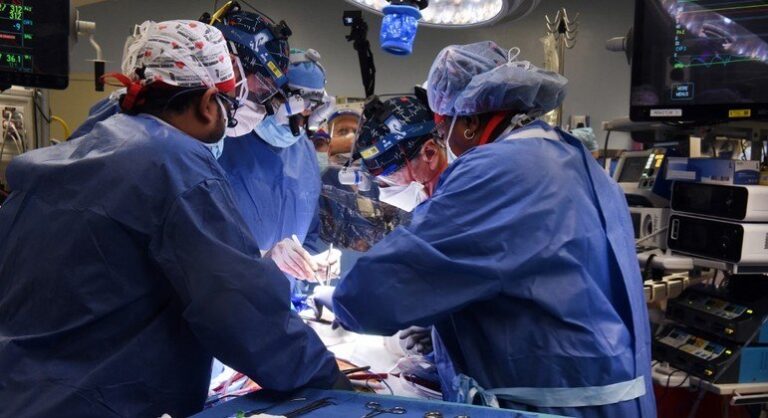 Regras para transplantes no Brasil são claras e consolidadas, afirma especialista em Direito Médico e Bioética