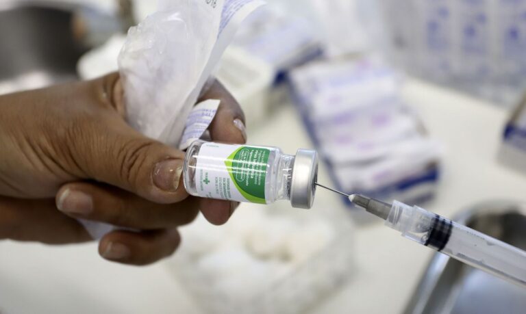 Campanha de vacinação contra a influenza encerra na sexta-feira