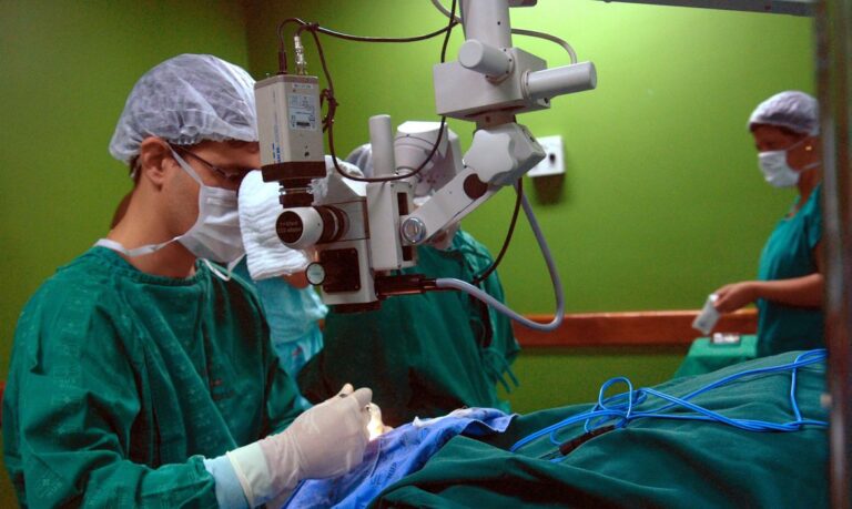 Transplante de fígado passa a integrar lista da ANS