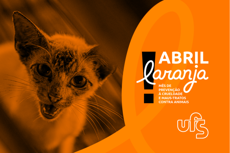 Campanha de combate aos maus tratos aos animais é lançada