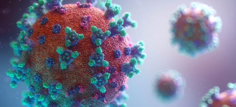 Por que algumas pessoas não se infectam com o coronavírus?