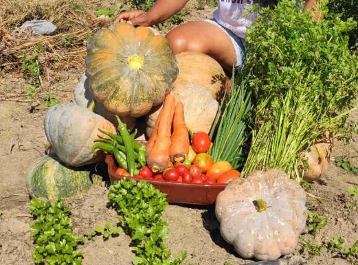 Projeto da UFS reutiliza água para produção agrícola em assentamento