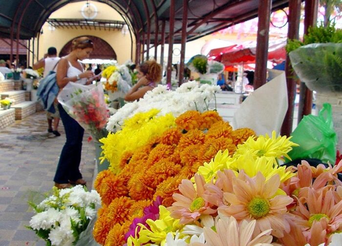 Flores estão até 400% mais caras às vésperas do dia das mães
