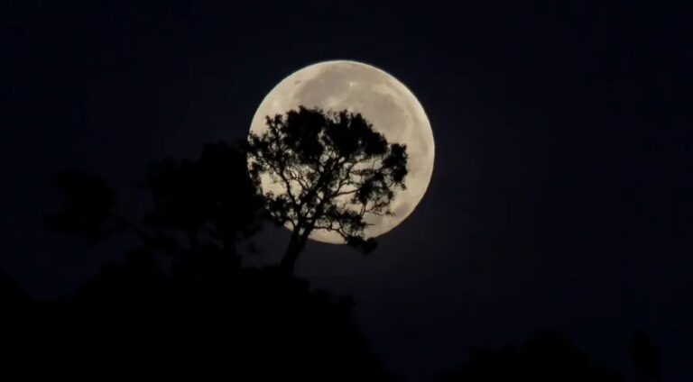 “Lua fria” cheia brilhará intensamente no céu; Marte estará em oposição e conjunção