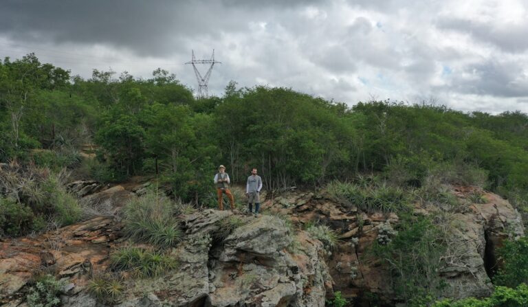 Projeto da UFS vai recuperar 600 mil m² da Caatinga