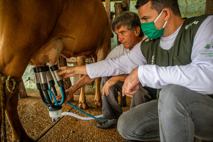 Preço do leite pago ao produtor rural não acompanha aumento nos supermercados