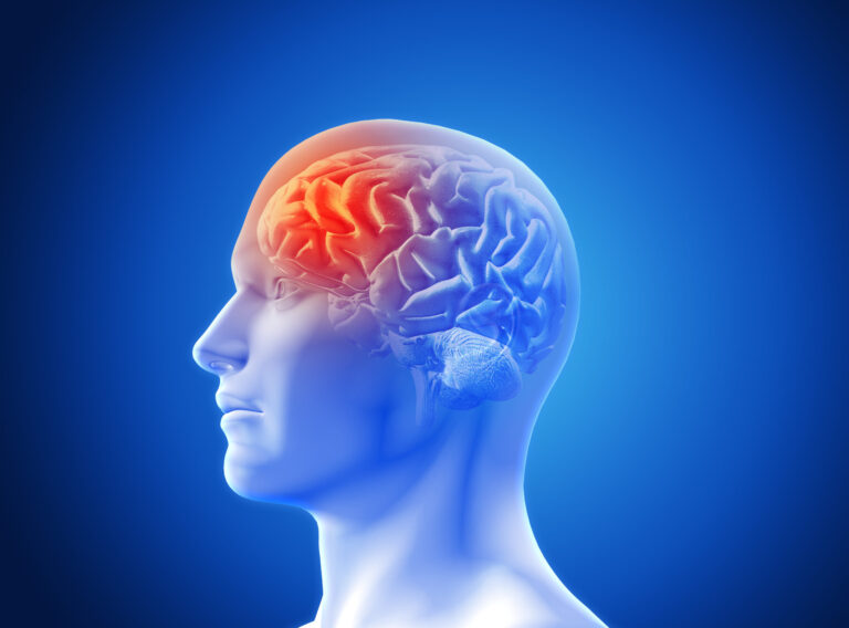 Quais vírus podem causar meningite?
