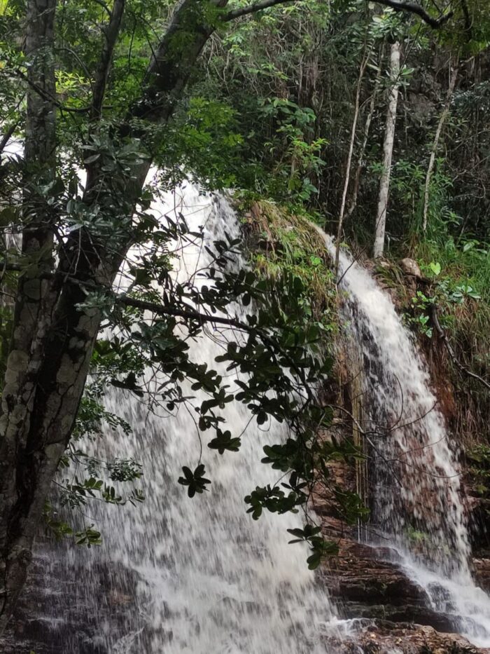 Serra de Itabaiana preserva Mata Atlântica e centenas de espécies de animais