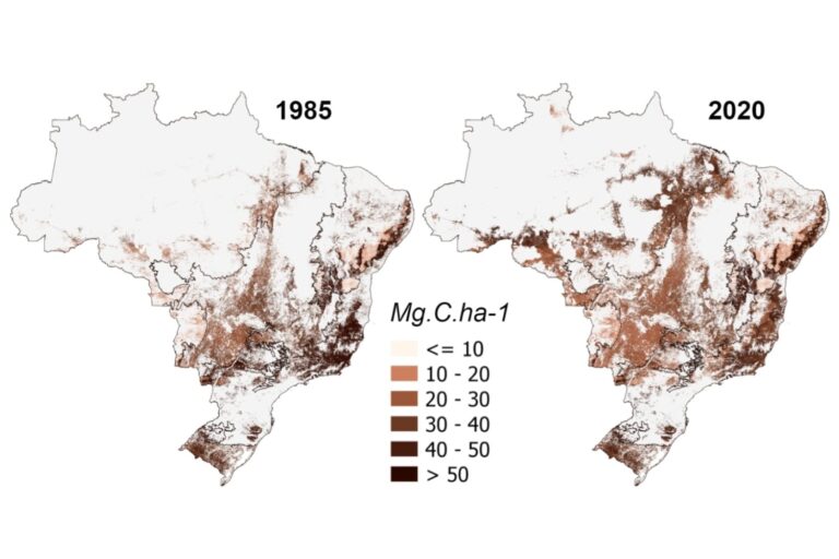 Estudo mostra impactos da agropecuária na emissão de gases do efeito estufa