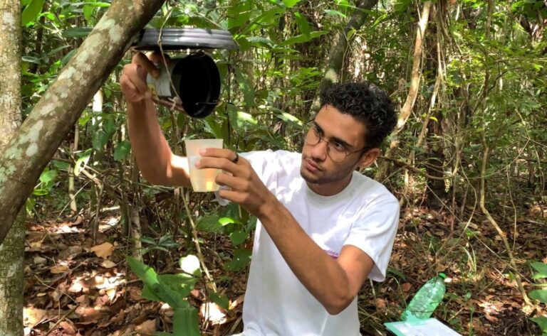 Pesquisadores da UFS investigam circulação do vírus da febre amarela em Sergipe