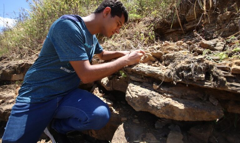 Descoberta de fóssil de 2 cm coloca Sergipe no mapa mundial dos dinossauros