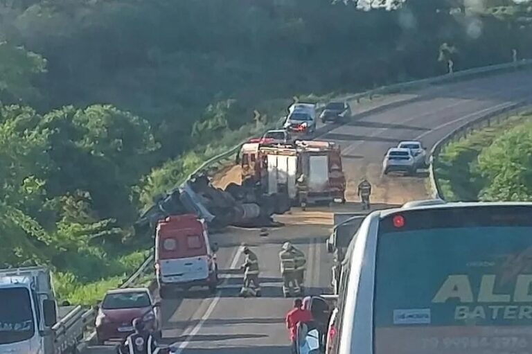 Motorista tomba caminhão após ataque de abelhas