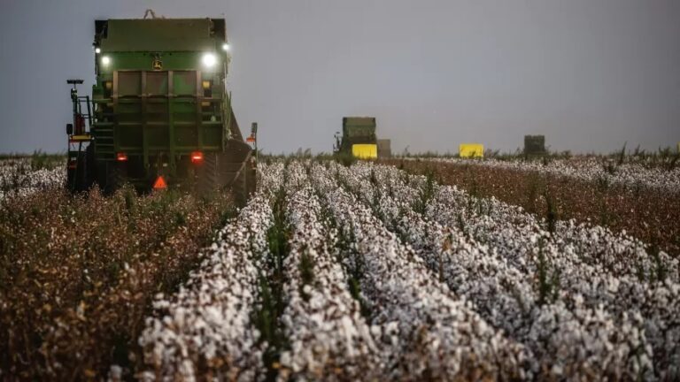 Exportações crescem com avanço do agro; indústria perde espaço