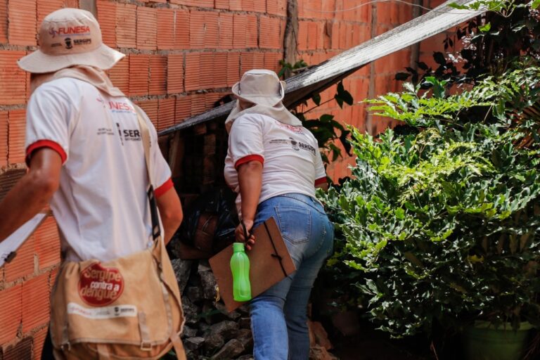 Sete municípios estão em situação de alto risco de infestação pelo Aedes aegypti