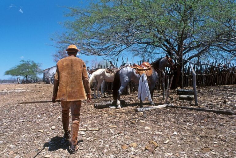 Engenheira ambiental comenta Política de Desenvolvimento Sustentável da Caatinga