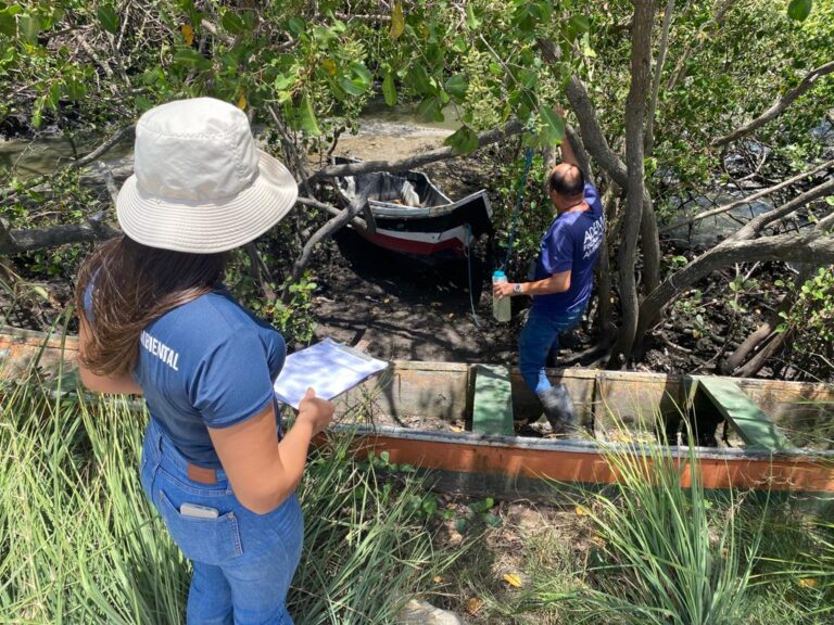 Adema aponta esgoto doméstico como um dos fatores pela mortandade de peixes