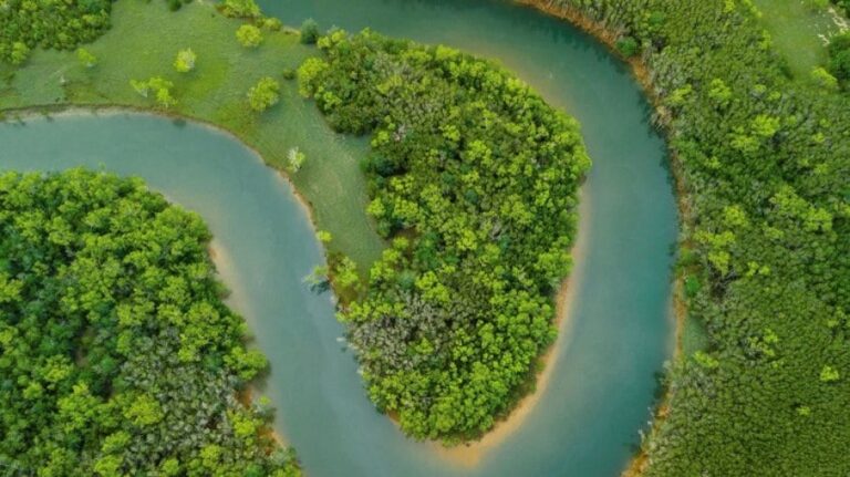 Amazônia bate recorde histórico de desmatamento em fevereiro, diz Inpe