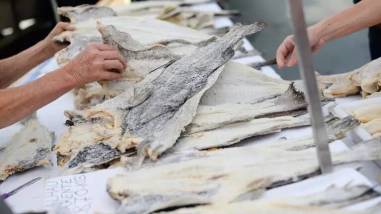 Confira 5 dicas que vão te ajudar a comprar bacalhau do jeito certo