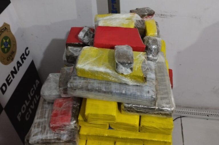 Segurança Pública contabiliza quase 300kg de drogas apreendidos em 48h