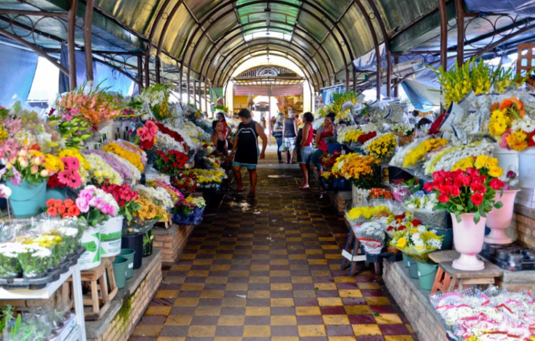 Passarela das Flores atrai visitantes pela beleza, organização e preço