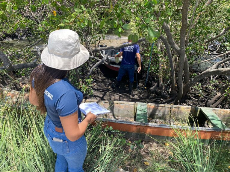 Adema apura denúncia de crime ambiental no Rio do Sal