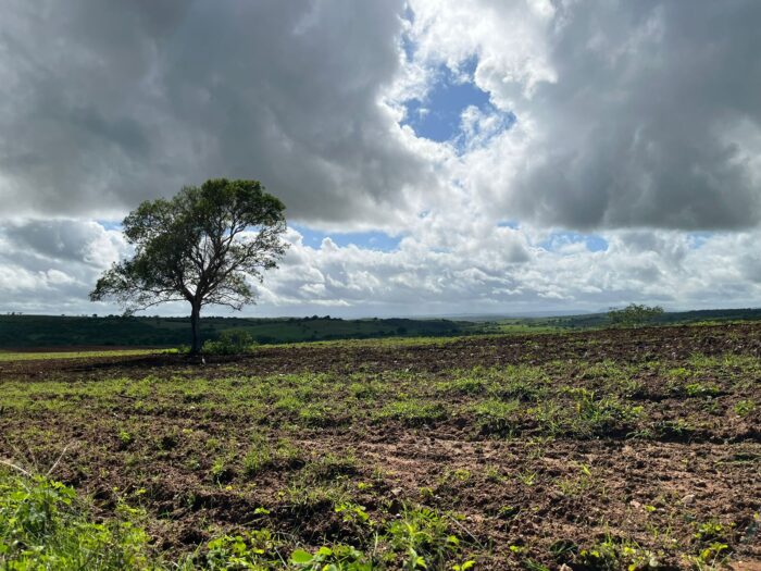 Faese apela para que Governo intensifique ações de combate à invasão de terras