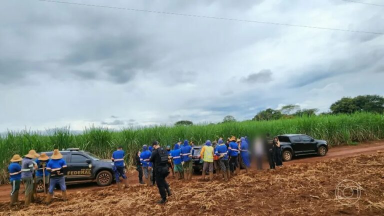 212 em situação de escravidão em GO e MG são resgatados
