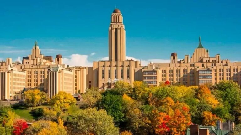Universidade de Montreal, no Canadá, oferece bolsas de graduação e pós