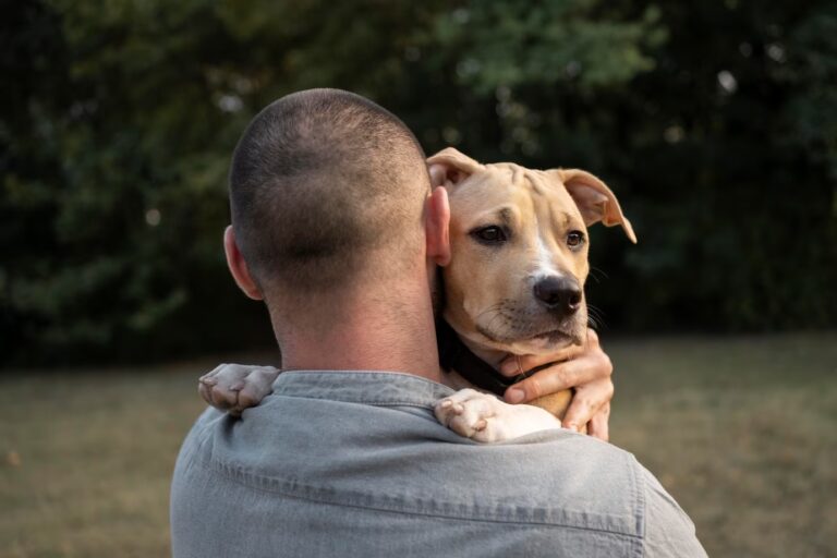 Saiba como funciona a guarda compartilhada de animais após separação dos tutores