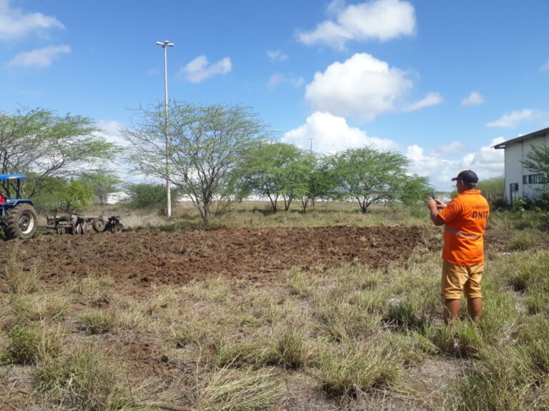 Chuvas provocam impactos negativos e positivos no agro em Sergipe