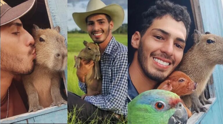 O que se sabe sobre o caso da capivara ‘Filó’